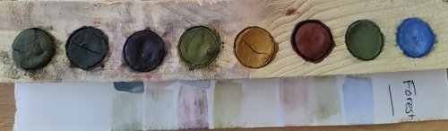 Forest Watercolor Palette